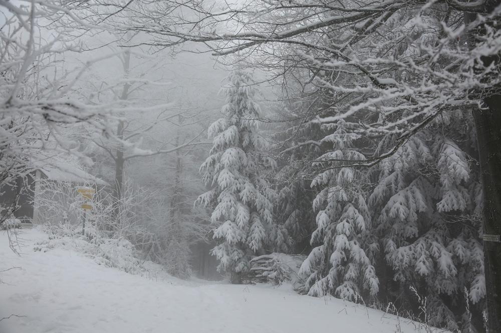 winter landscape