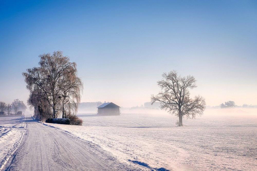 winter landscape